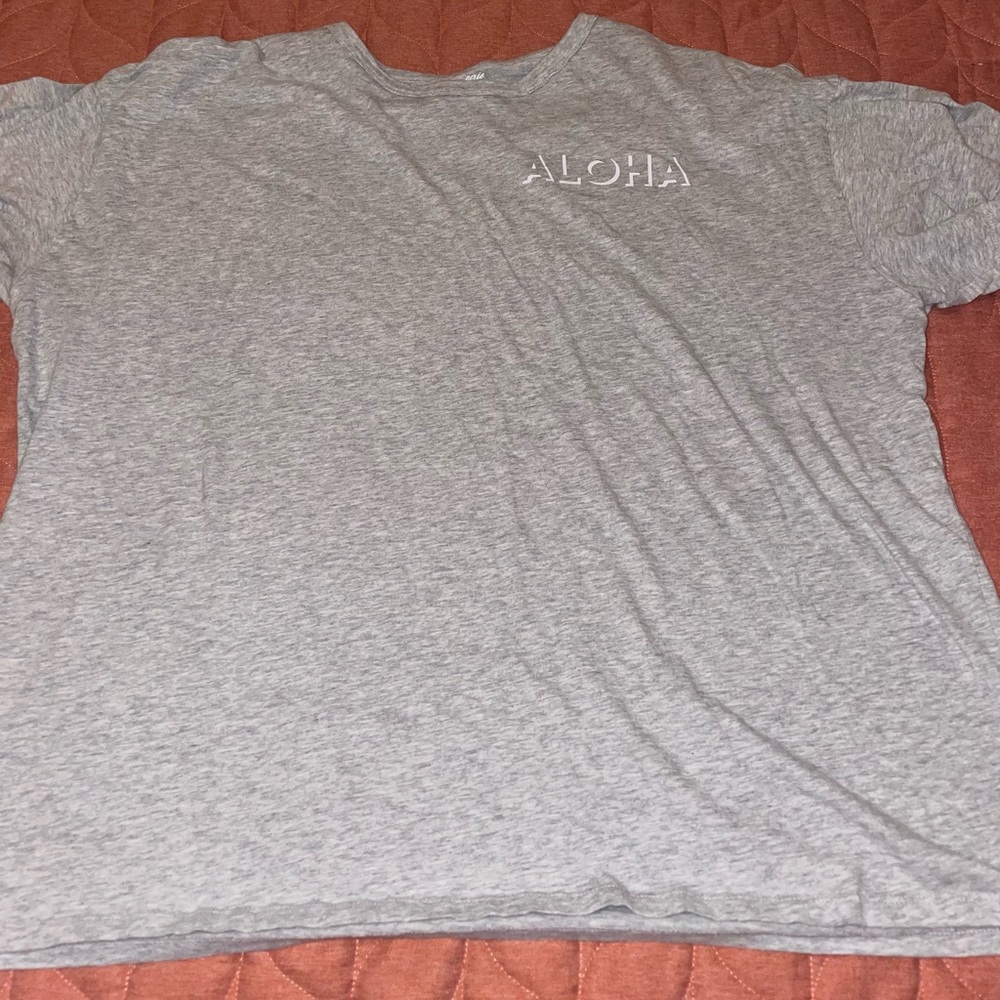 Grey Aerie T-shirt in a size XL